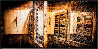 Balta dobálás - Budapest