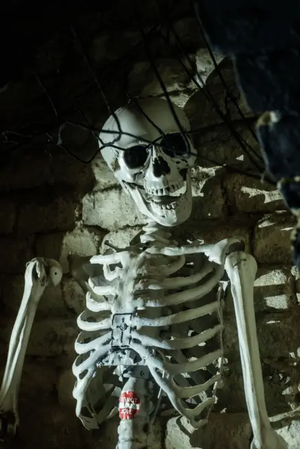 Éhezők Viadala Játék Szabadulószoba - Budapest