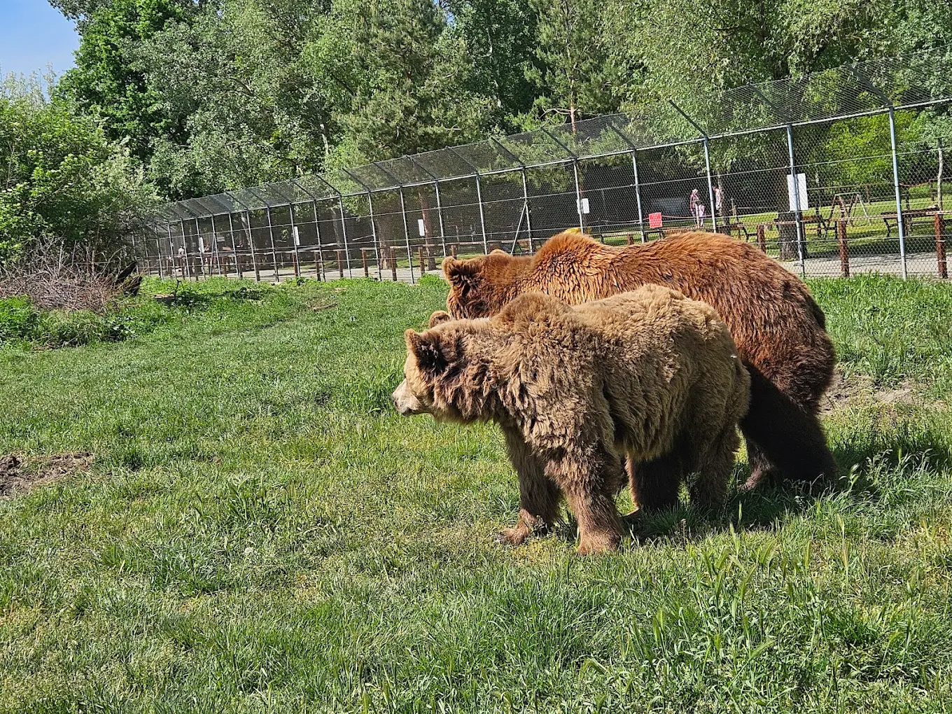 Medveotthon - Veresegyház