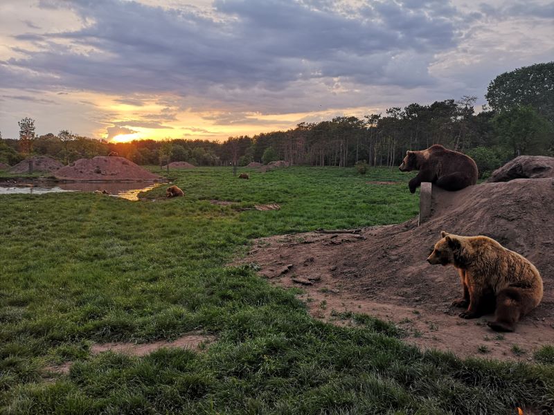 Medveotthon - Veresegyház